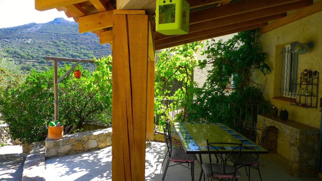 A Chiosella Bed & Breakfast Corbara Exterior photo