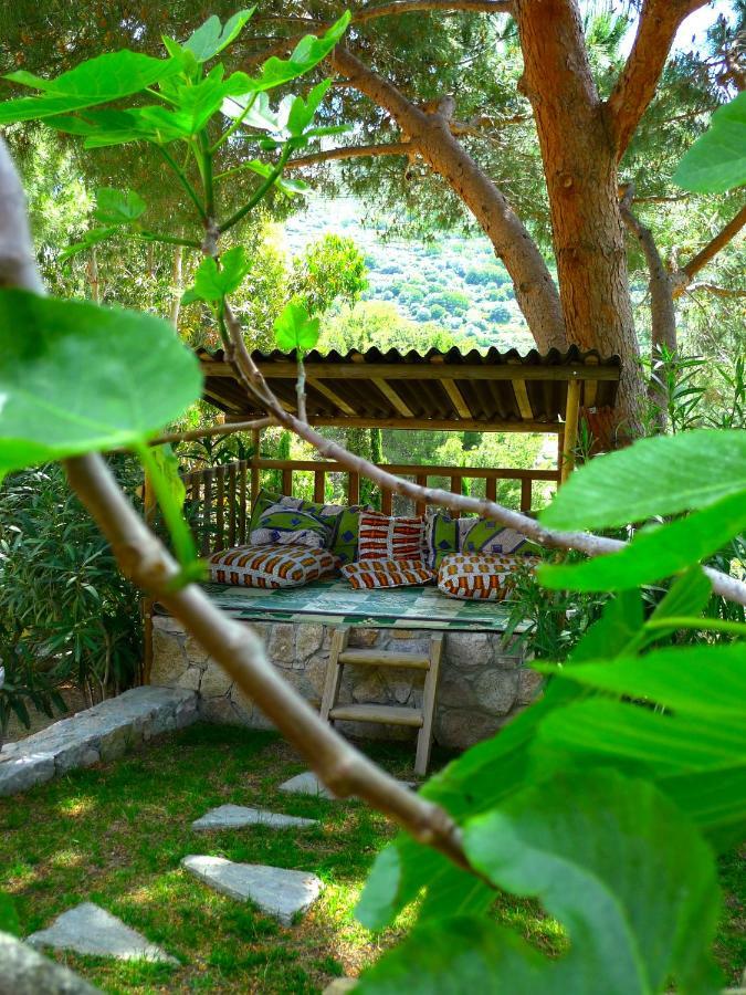 A Chiosella Bed & Breakfast Corbara Exterior photo