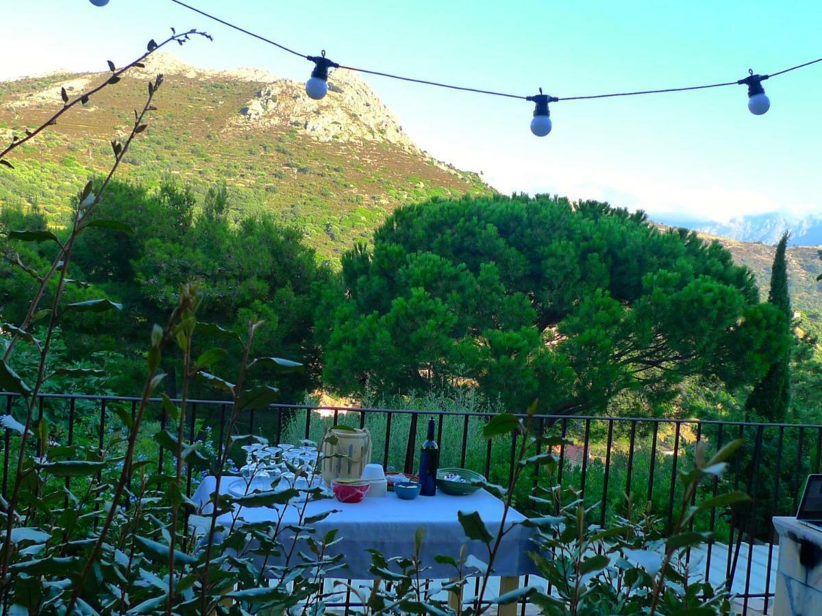 A Chiosella Bed & Breakfast Corbara Exterior photo